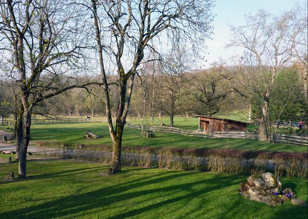Le parc vu de la chambre
