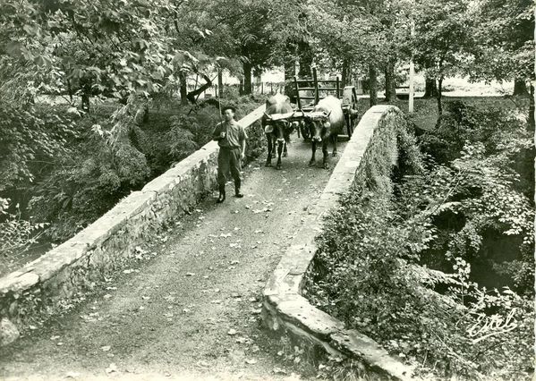 Pont romain 1960-2