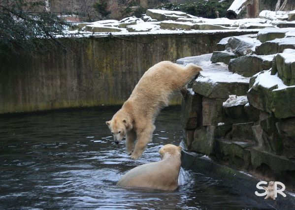 Dezember-2009 8441