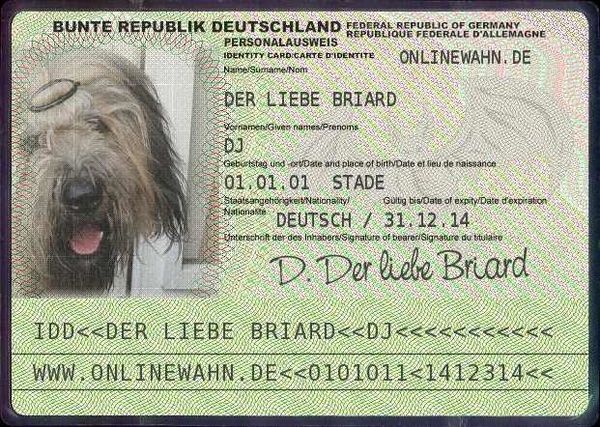 a-bild