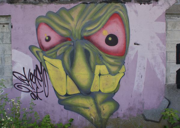 1667 friche 91260 Juvisy