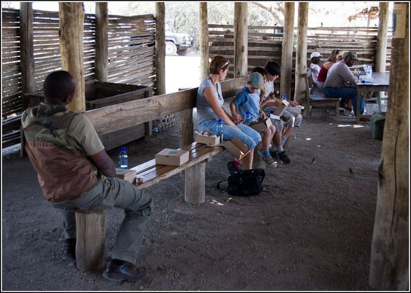 pique nique à olduvai