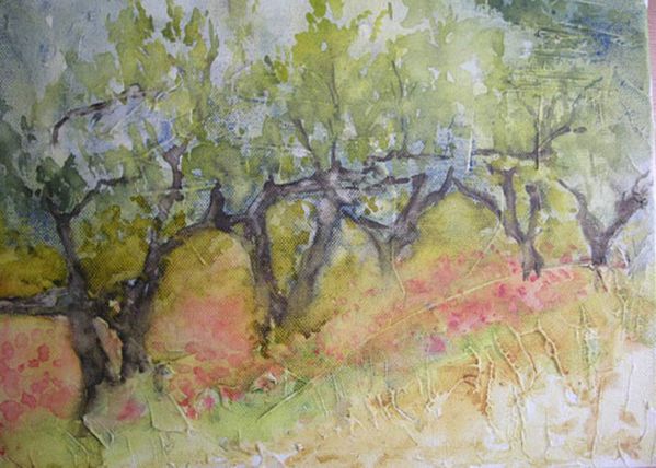 Paysages.Les-oliviers4.jpg.jpg