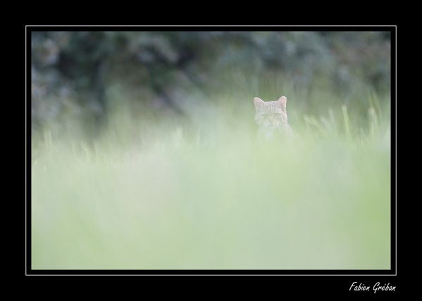 Site de rencontre jurassien