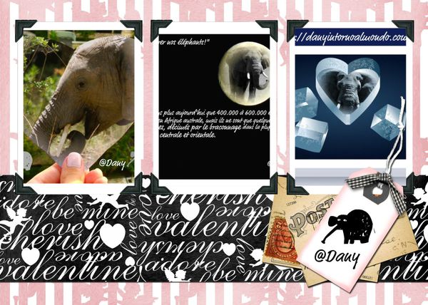 Collage Tembo