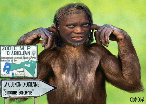 guenon2.jpg
