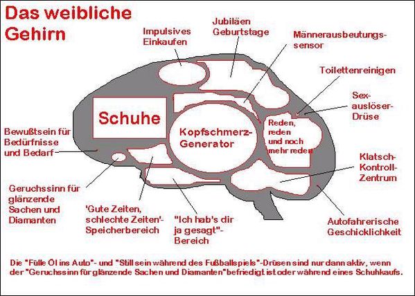 Das Mannliche Gehirn D F A S H Ii O N Blog