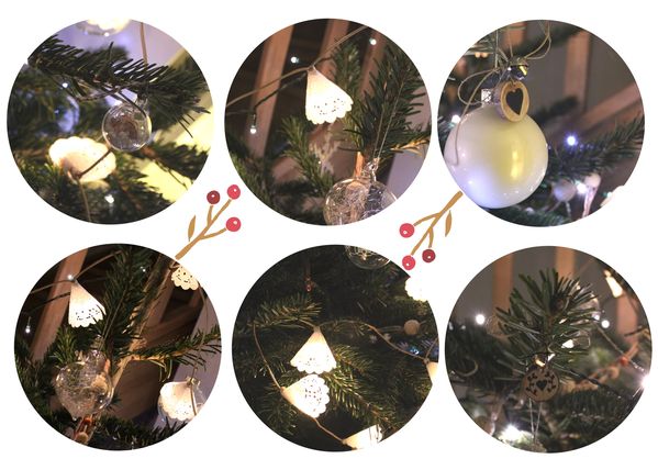 sapin 2013 b