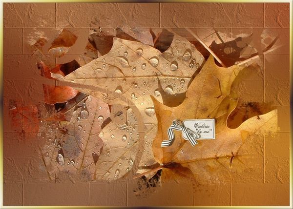44-VBM PAYSAGE AUTOMNE 17.09.11