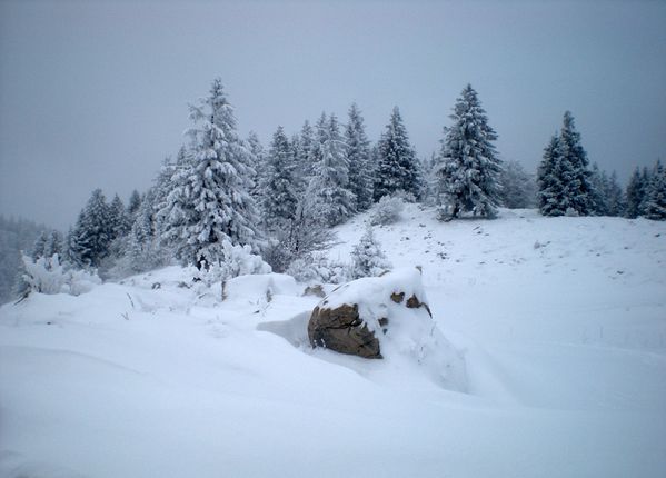 chalet-du-sac-le-19-12-09