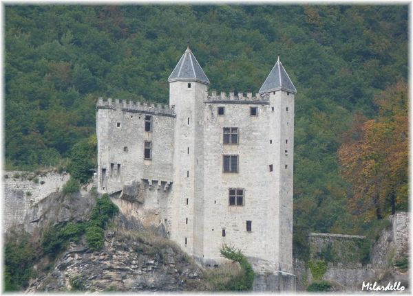 chateau-miolans-3.JPG