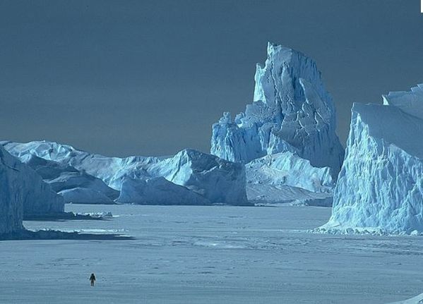 iceberg-beau