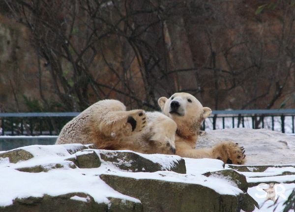 Dezember-2009 7187