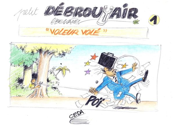 Couverture Petit Débrouyair Monde cruel