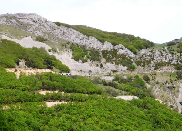 20120517-033c Col du Rousset (Vercors)