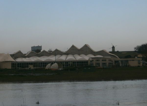 Jonzac--20-01-2013-018.JPG