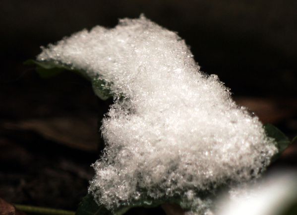 Neige 04