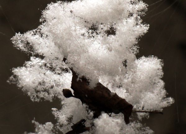 Neige 08