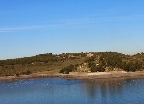 Mes-Images---128 2251