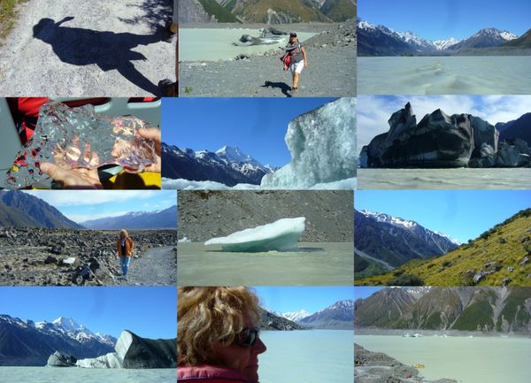 NZ glacier Cook montage