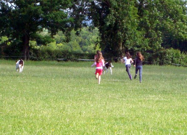 DSC07146.JPG