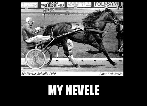 My-Nevele--1-.jpg