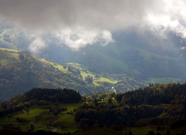 Belchen (25)