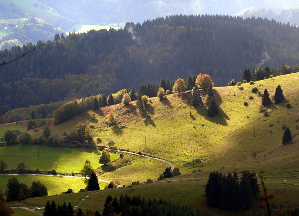 Belchen (27)