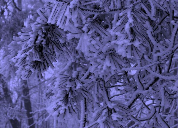 P1090504