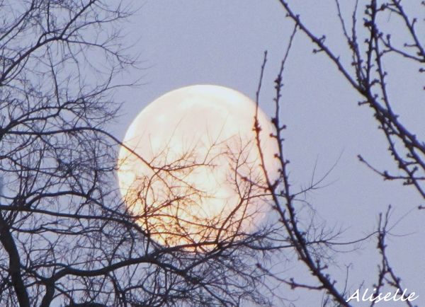 Lune se couchant 01 02 2010 #2