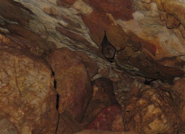 2011 05 04 grottes Sainte-Victoire 009 (Large)