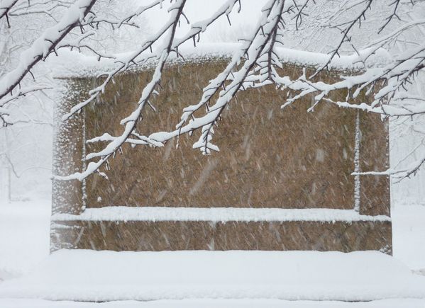 snow 015