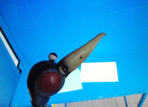 P5060002