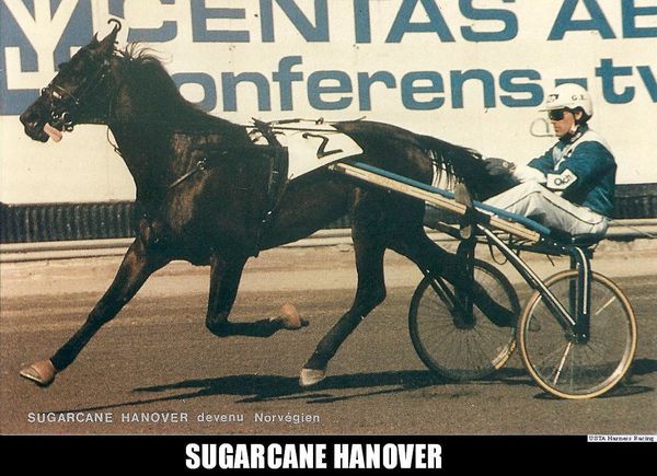 Sugarcane-Hanover-00.jpg
