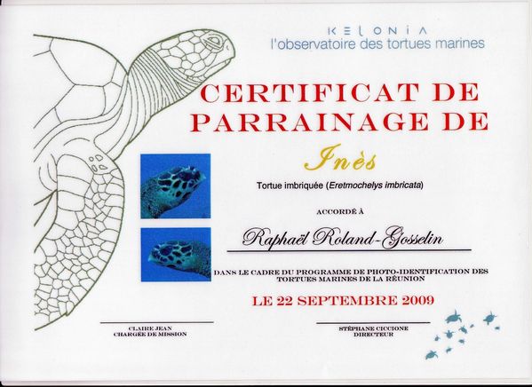Certificat Inès