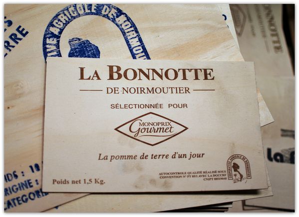 Noirmoutier-La-bonnotte-21.jpg