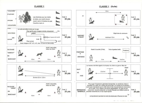 CONCOURS - Chémas des épreuves - Le blog du Club Canin du CONCOURS - Chémas des épreuves - Le blog du Club Canin du