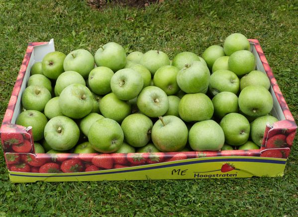 pommes-amboise---recolte-2013.jpg