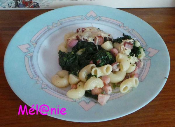 gratin_pate_epinard_lardons.jpg