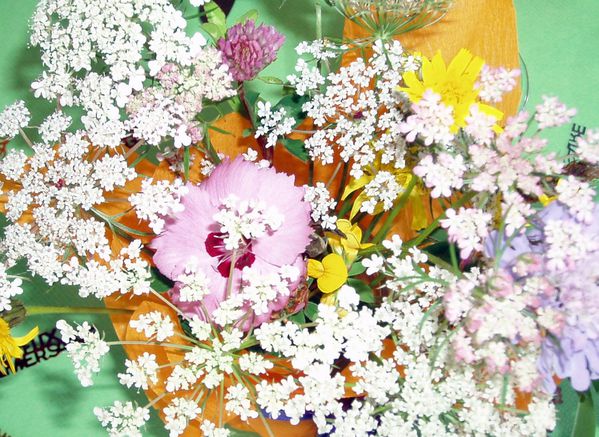 Bouquet-de-fleurs-sauvages.jpg