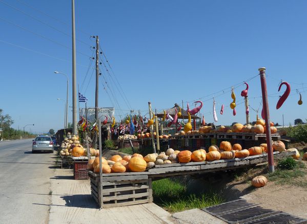 P1310040b.jpg