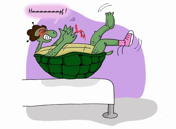 tortue 3