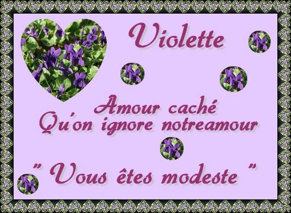 Violette-copie-1.jpg