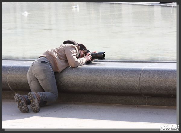 who-shooted 3092v1 LIGNES