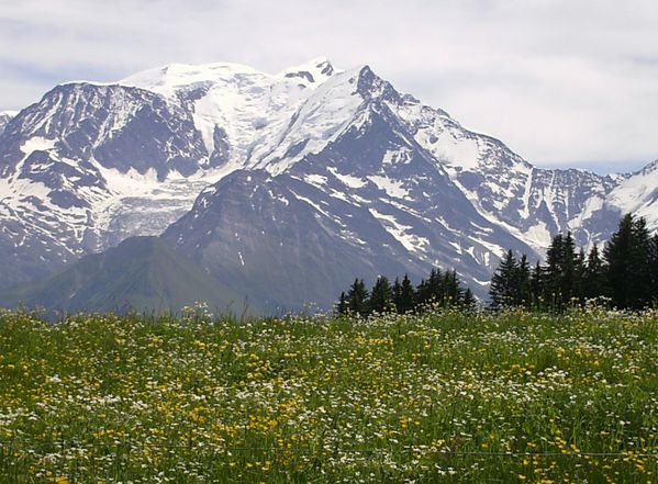 Vue sur Le Mont-Blanc