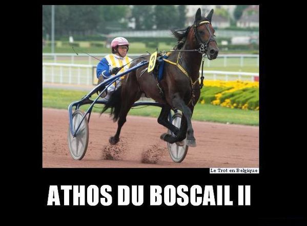 Athos-du-Boscail-II.jpg