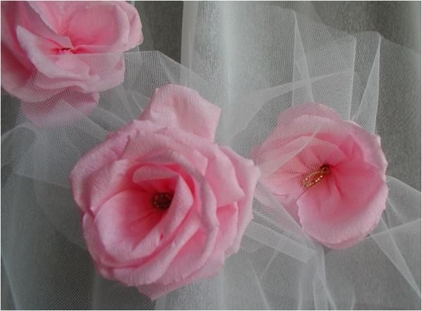 Des Roses - Les Passions De Pauline, Ses Souvenirs,. des roses - Les passions