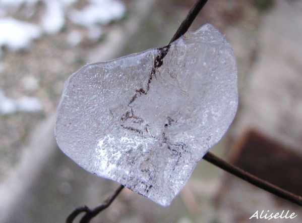 Coeur-de-glace--fevrier-2010-2.jpg