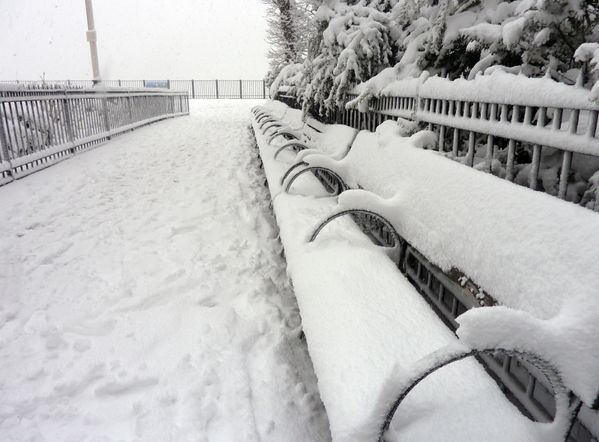snow 012