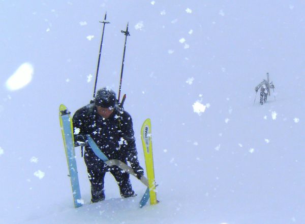 col POUTA 006